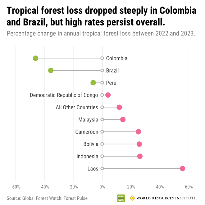 A lollipop chart illustrating percentage difference in annual tropical forest loss between 2022 and 2023.