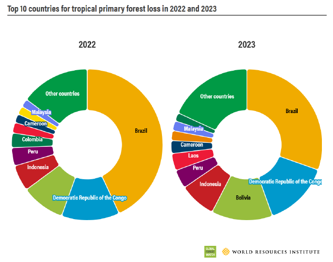 Original chart published by Global Forest Watch.