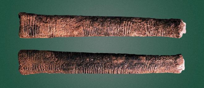 A photograph of the Ishango bone from a couple angles.